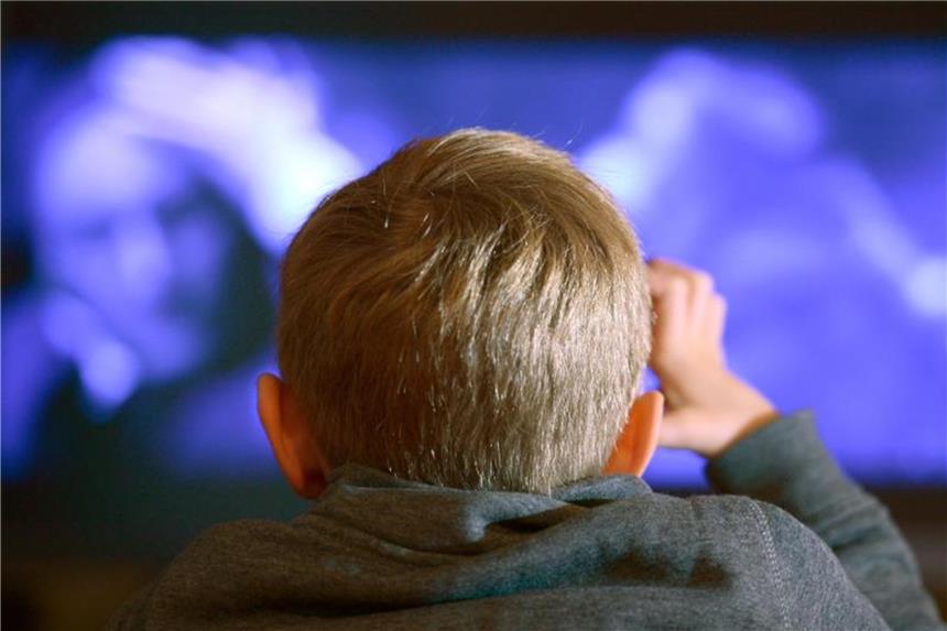 Kinder sollten Realityshows nicht alleine gucken Kleine Kinder sollten keine Realityshows schauen. Ältere Kinder sollten die Formate nur in Begleitung ansehen. Foto: Arne Dedert/dpa