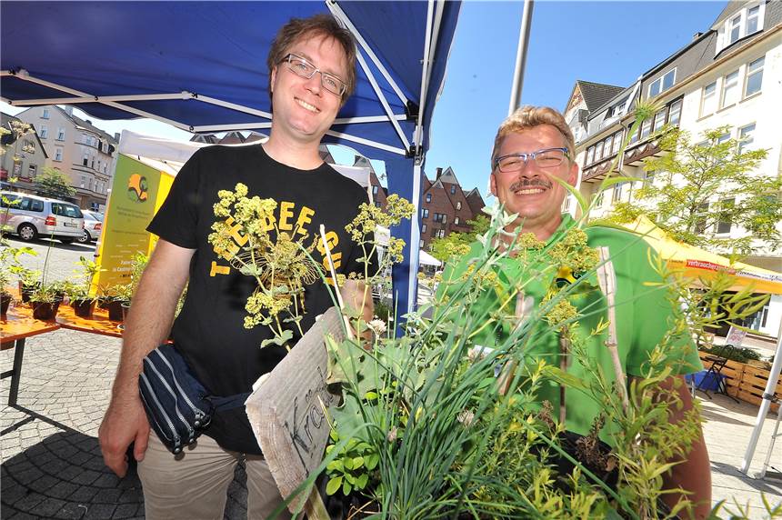 Zweiter KliMarkt auf dem Marktplatz sorgte für fünf Aha-Momente Kleingärtner und Bienenzüchter bilden eine gute Symbiose. Wer wollte, konnte Pflanzen tauschen.