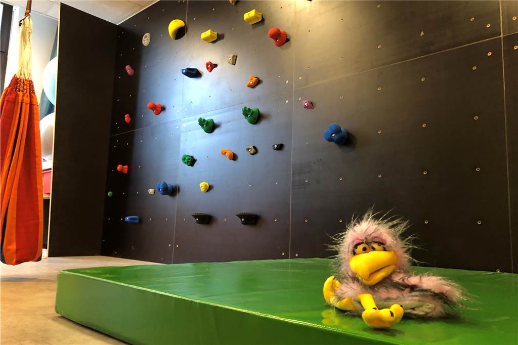 Viel Raum für Therapie: Angela Albers hat an der Dufkampstraße große Pläne Kletterwand und Bewegungsraum bieten viele Möglichkeiten für ergotherapeutische Erfahrungen.