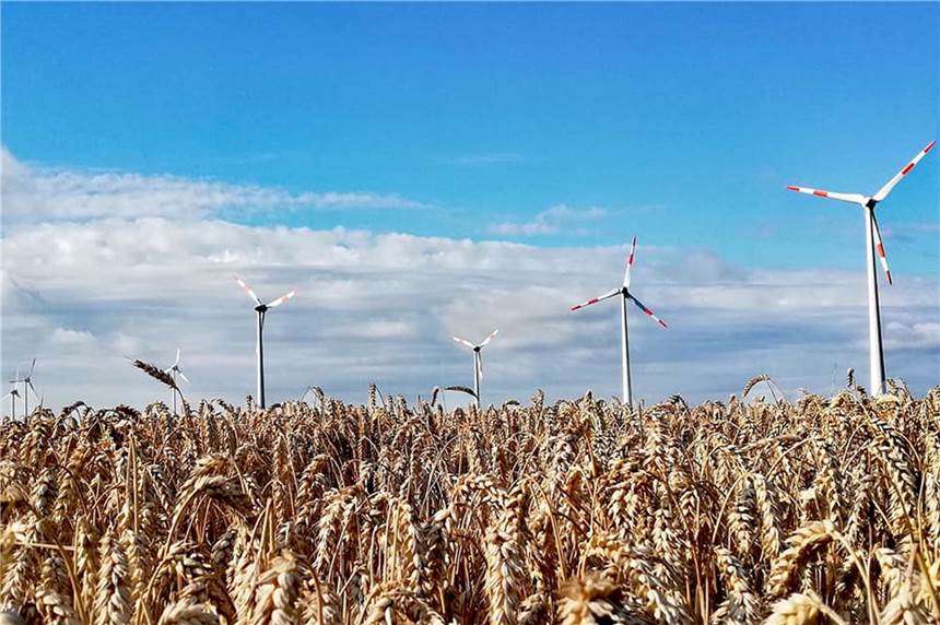 Klimaschutzpreis: In Heek droht ein Jahr ohne Sieger Klimaschutz wird in Heek großgeschrieben. Darum soll auch dieses Jahr der so genannte Klimaschutzpreis verliehen werden.
