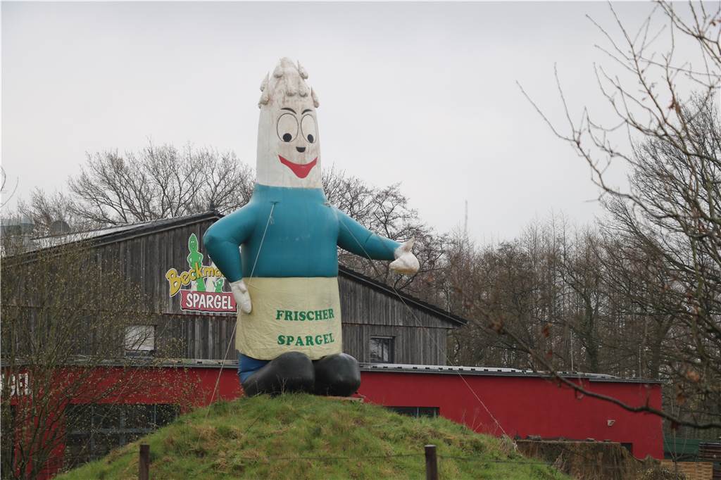 Die Spargelsaison in Kirchhellen hat endlich begonnen Kommt man aus Gladbeck in Richtung Dorfkern, wird man freundlich von einer riesigen luftgefüllten Spargelstange begrüßt.
