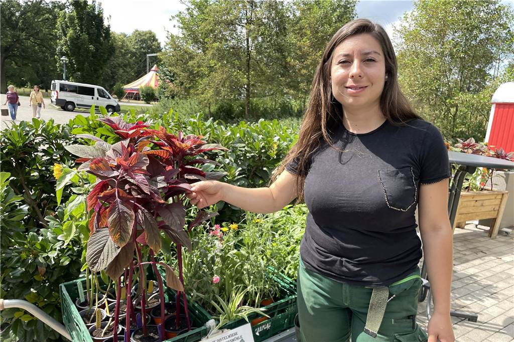 Erntefrisches Gemüse und Geschenkartikel: Mini-Markt wieder komplett Der Mini-Markt auf Gut Königsmühle ist wieder komplett.