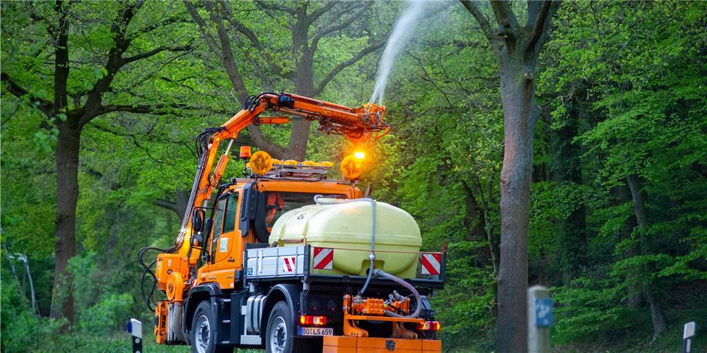 Eichenprozessionsspinner ist wieder im Anmarsch: Erste Fälle in Haltern Kreis Recklinghausen und Straßen.NRW setzen auf vorbeugende Behandlung der Bäume gegen den Eichenprozessionsspinner.