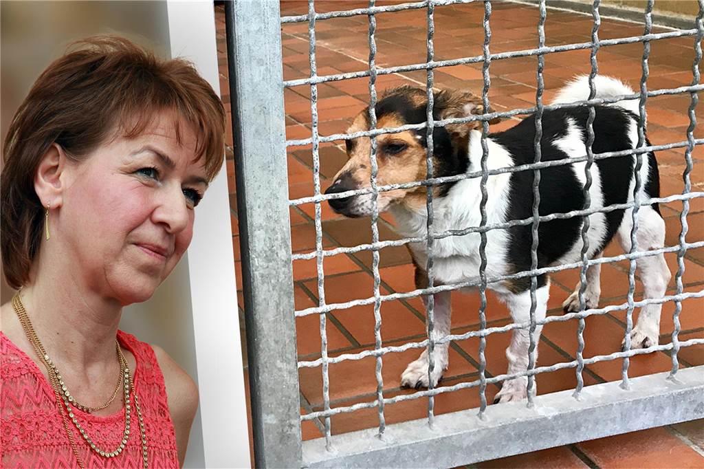 Stadt zahlt Tierheim mehr: Das steckt hinter der Ausweitung der Pauschale Kristina Rummeld, 2. Vorsitzende des Tierschutzvereins Castrop-Rauxel, hat bei der Jahreshauptversammlung des Vereins versucht, die Wogen zu glätten.