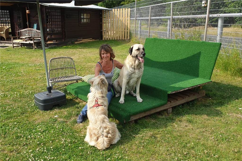 „Wir sind kein Supermarkt!“ Dreiste Anfragen überlasten das Tierheim Kristina Rummeld besitzt selbst vier Hunde. Im Tierheim in Castrop-Rauxel kümmert sie sich um weitere 16 Hunde.