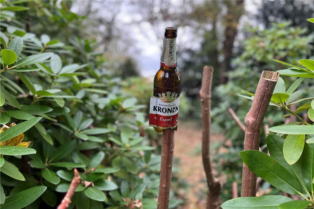 Vandalismus auf dem Hauptfriedhof: Schnapsflaschen, Müll, Zerstörung Eine Flasche Kronen auf einen Ast gespießt.