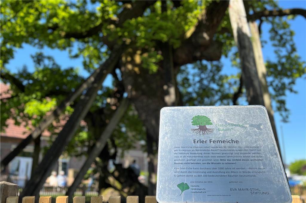 Zahlreiche Besucher an Eröffnungsfeier des Femeichenparks Neues Schild an Femeiche in Erle