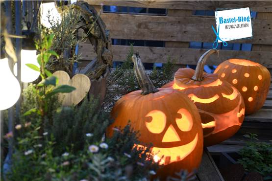 Kürbisse schnitzen zu Halloween: Videoanleitung