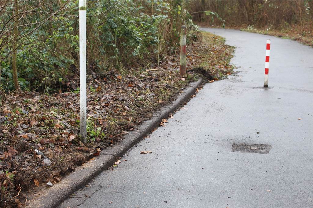 Weg ist plötzlich frei: Hier haben es Fußgänger und Radfahrer wieder komfortabel Kurz nach der Anfrage dieser Redaktion reinigte die EDG den Weg, schnitt das wuchernde Grün und legte den Wegesrand wieder frei. Allerdings noch nicht auf ganzer Länge.