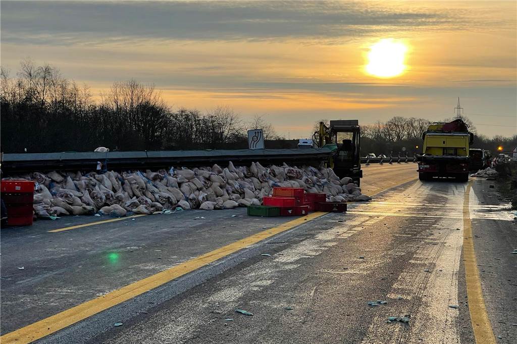 Die A2 als Unfallschwerpunkt: Die schlimmsten Unfälle der jüngsten Zeit Schweinehälften liegen am 14.3.2024 nach einem Unfall auf der A2 bei Castrop-Rauxel