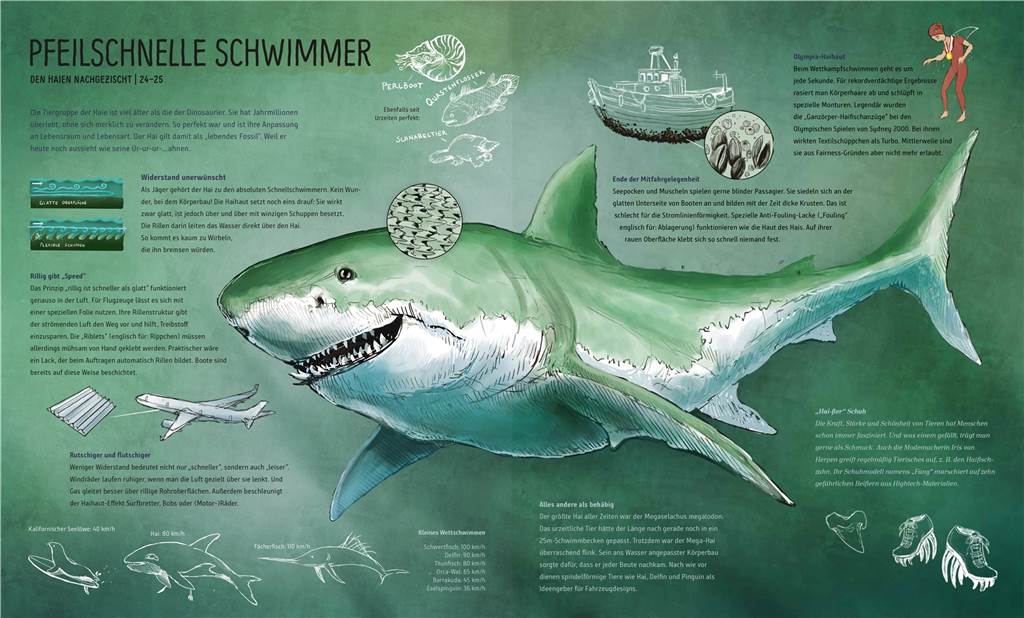 Geschenke-Ratgeber: Die besten Kinder- und Jugendbücher zu Weihnachten Laibl, Melanie : Schau wie schlau. Bionik: wenn Natur die Technik beflügelt