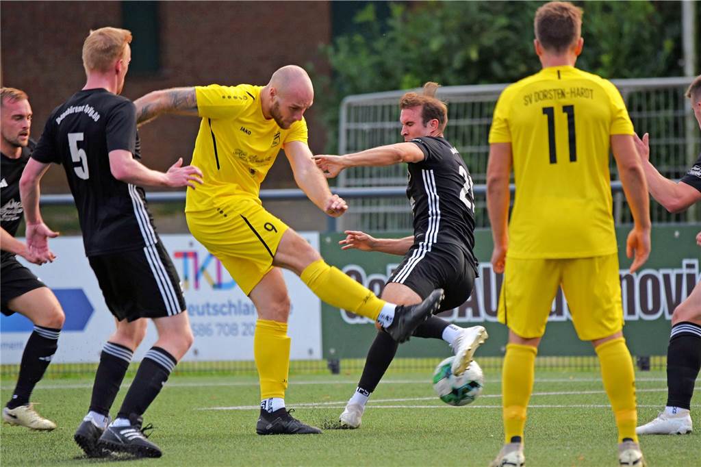 Landesliga 4, SV Dorsten-Hardt - Ibbenbürener Spvg. 2:2 (0:2)