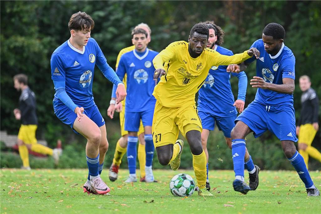Landesliga 4, SV Dorsten-Hardt - VfL Senden 0:2 (0:2)