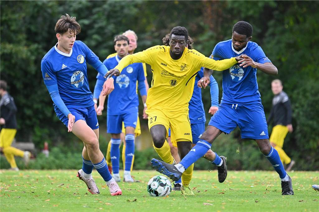 Landesliga 4, SV Dorsten-Hardt - VfL Senden 0:2 (0:2)