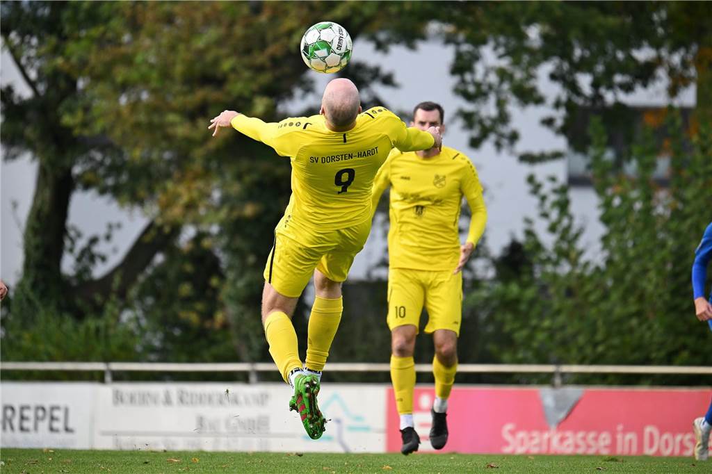 Landesliga 4, SV Dorsten-Hardt - VfL Senden 0:2 (0:2)