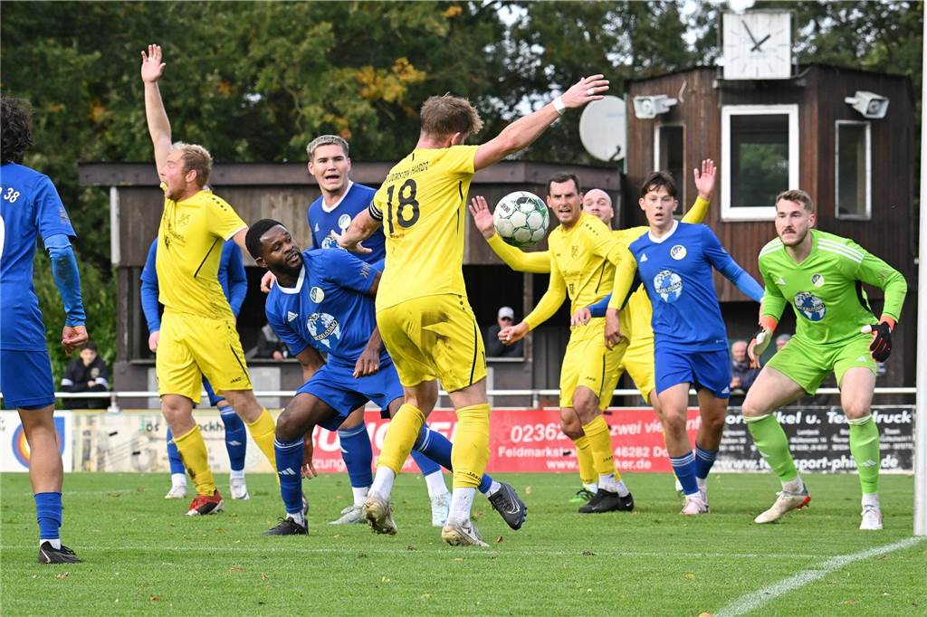Landesliga 4, SV Dorsten-Hardt - VfL Senden 0:2 (0:2)