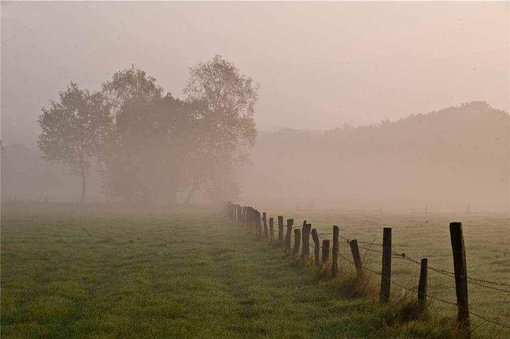 Naturschutz in Haltern