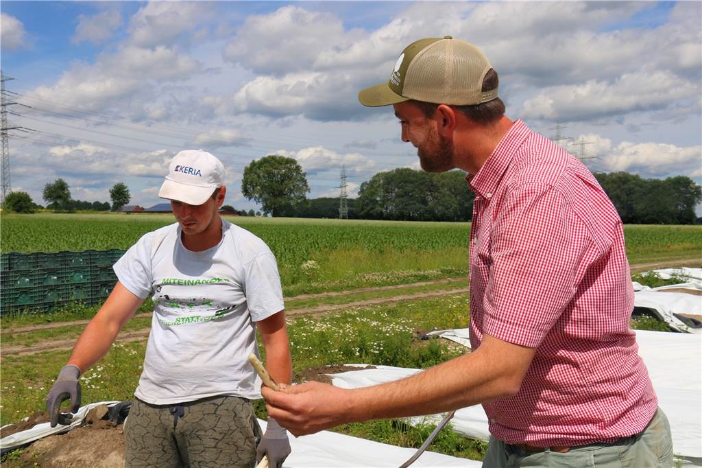Spargel wird teurer: Landwirte müssen Ernte-Probleme an Kunden weitergeben Landwirt Johannes Laurenz (r.) spricht mit einem Erntehelfer aus Rumänien in der Saison 2019.