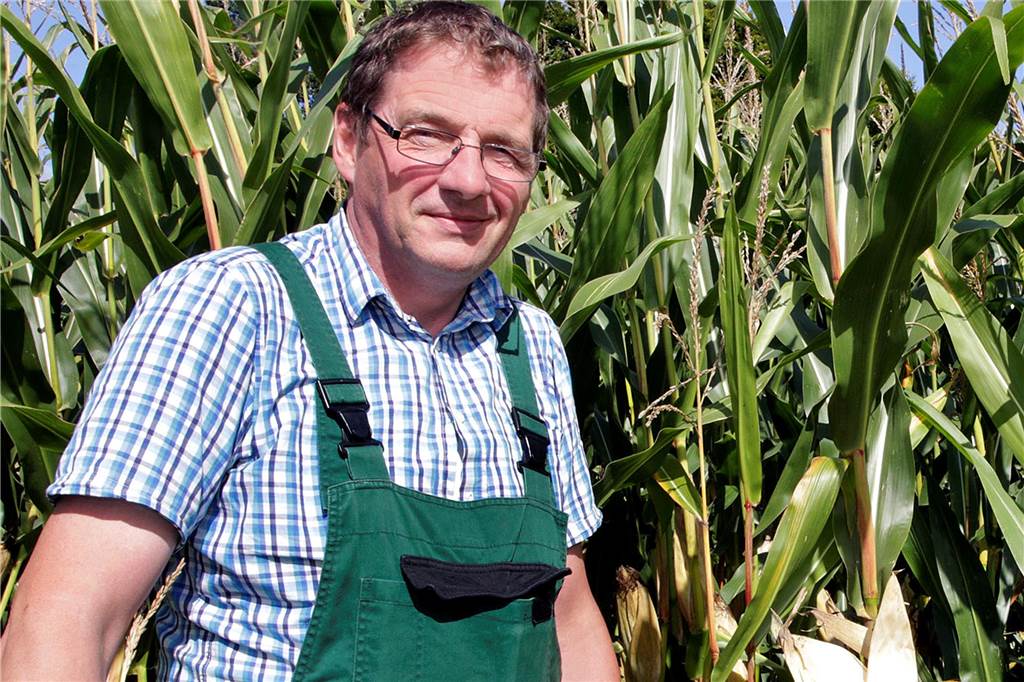 Trockenheit: Auch die Halterner Felder brauchen mal Regen Landwirt Ludger Winkelkotte sieht akut noch keine Wasserprobleme fürs Getreide. Sorgen bereiten ihm aber langfristige Klimaperspektiven.