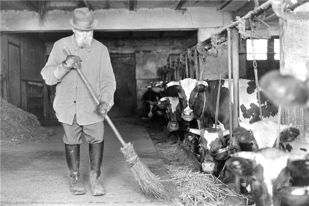 Landwirtschaft spielt in Cappenberg immer noch eine große Rolle. Hier ein Foto aus dem Jahr 1980, zu sehen ist Bauer Albert Übbert.