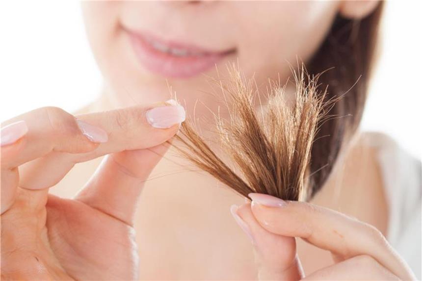 Fünf Tipps gegen Spliss im Haar Langes Haar braucht viel Pflege - sonst droht Spliss an den Spitzen. Foto: Christin Klose