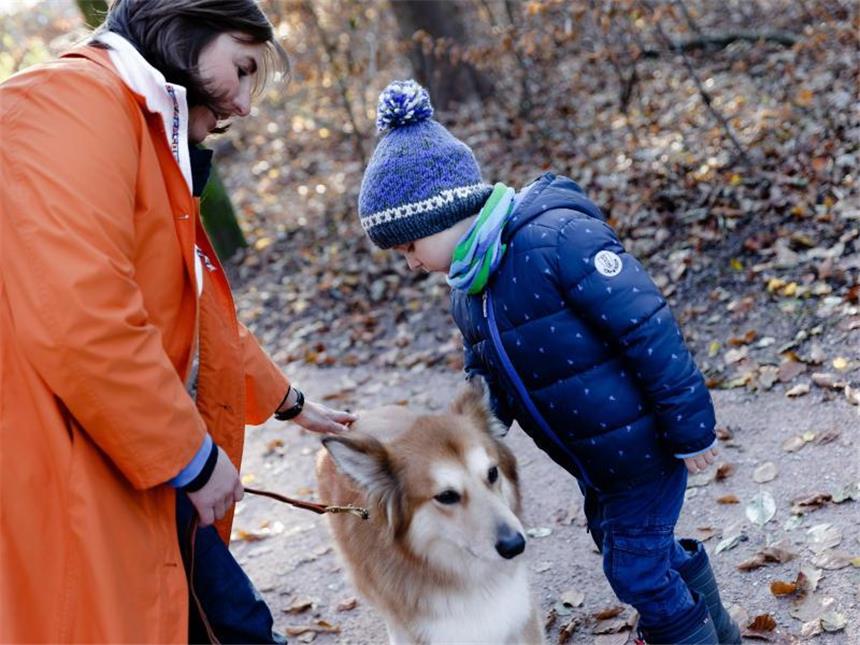 Kindern den Umgang mit Hunden beibringen Langsam herantasten: Inga Benecke zeigt Kindern den richtigen Umgang mit Hunden. Foto: Markus Scholz
