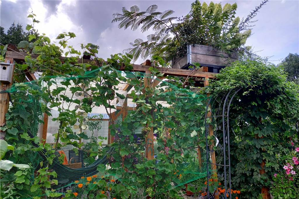 Der Garten zum Austoben und Entspannen: „Hier finden wir Ausgleich“ Langsam ist der Garten so voll, dass es sogar schon ein Beet auf der Gartenlaube gibt.