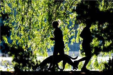 Laufsportler sollten an heißen Tagen nur morgens oder abends joggen. Foto: Peter Steffen