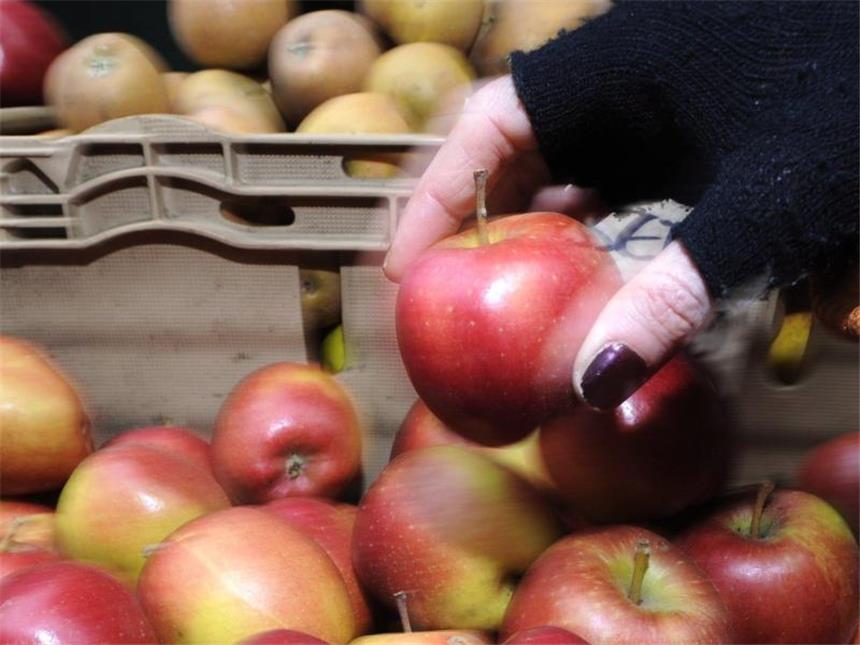 Verbraucherpreise in Deutschland ziehen an Lebensmittel werden teurer. Foto: Facundo Arrizabalaga