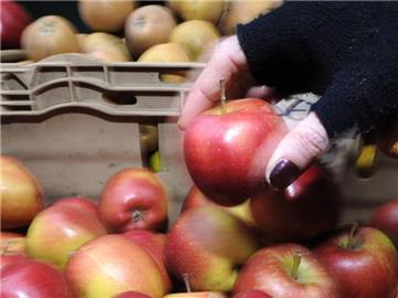 Lebensmittel werden teurer. Foto: Facundo Arrizabalaga
