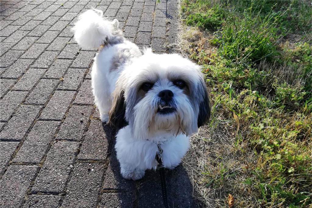 Leonore de Pacas hat ihrem Hund den lustigen Namen Keks gegeben. 