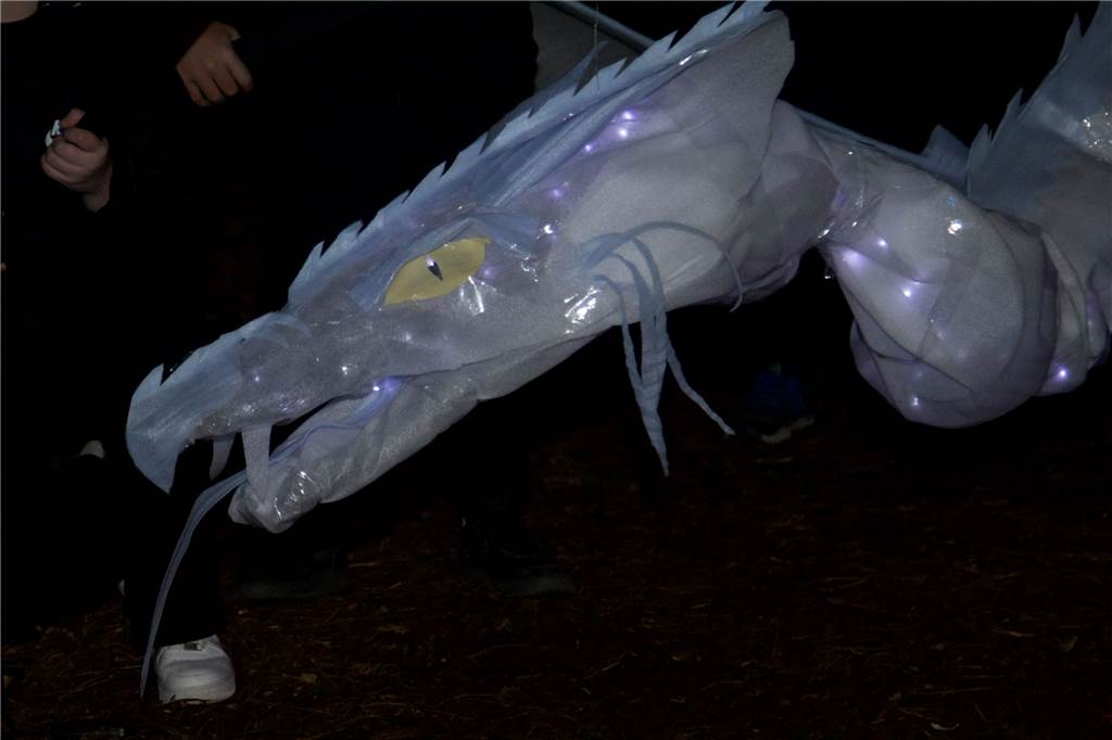 Nacht der Lichter im Stadtbezirk Mengede