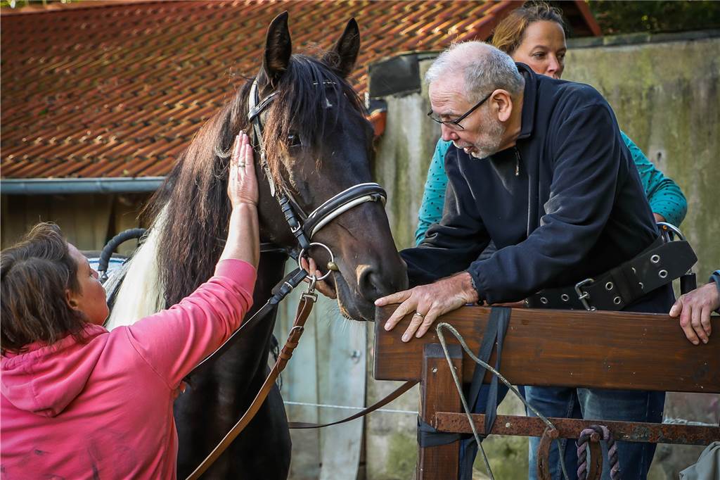 Diagnose Multiple Sklerose – auf dem Rücken eines Pferdes blüht schwerkranker Patient auf Liebevoll begrüßt Dieter Hanke den 11-jährigen Barockpinto-Wallach Mondbär, der ein ausgebildetes Therapiepferd ist. Zu Michelle Bartels Patienten gehören auch Kinder.