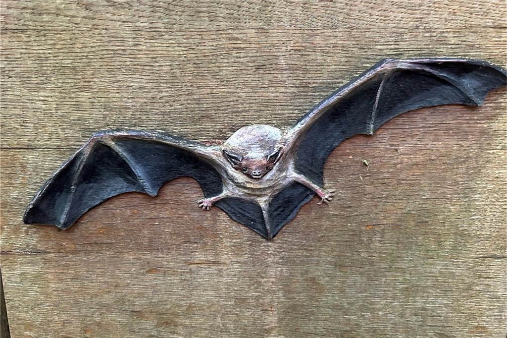 Ein Blick durch die Fenster des wilden Waldes in Schermbeck Eine Fledermaus