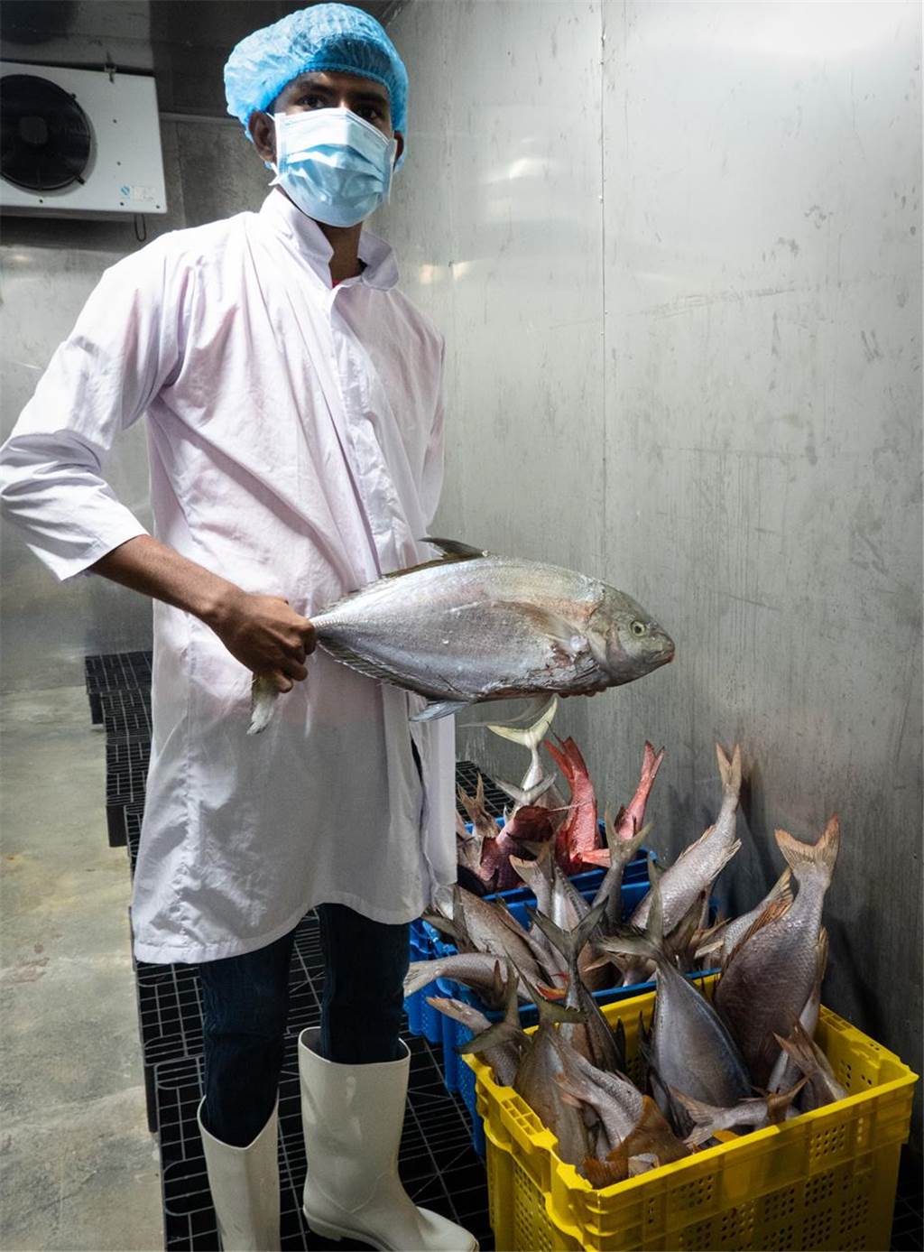 Wie die Postkarten aus Stadtlohn auf die Malediven kamen Ein Arbeiter in der Fischfabrik