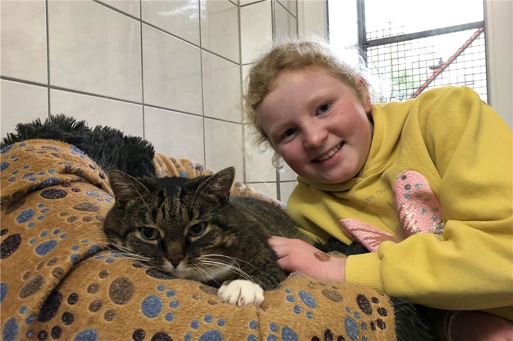 Pia hat ein Zuhause: Inge (67) ist in die Tierheim-Katze schockverliebt Lilla (10) hat Katze Pia häufig im Tierheim besucht. Jetzt ist sie froh darüber, dass die gemütliche Katze ein Zuhause gefunden hat.