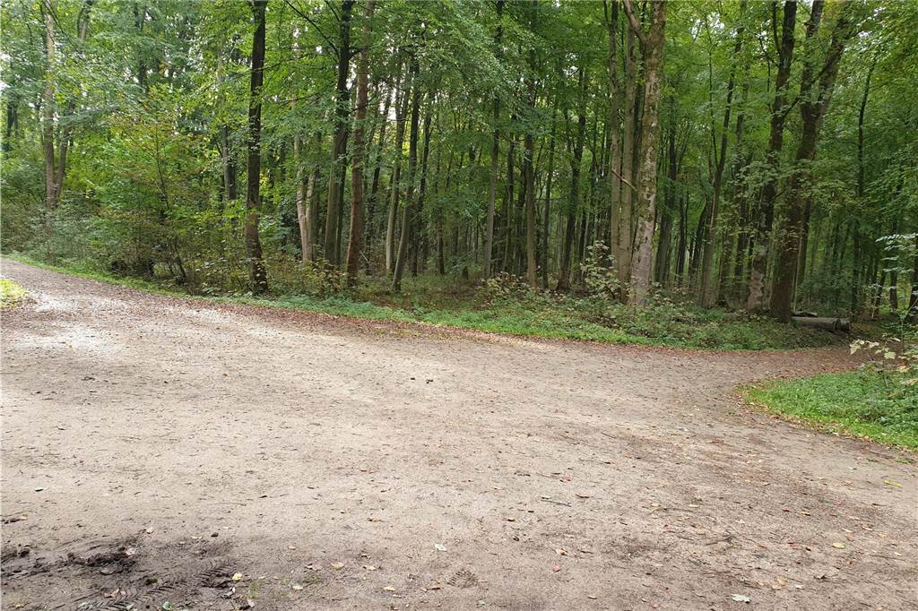 Vier Gründe für Herbstwanderungen im Dortmunder Nordosten Links oder rechts? Im Grävingholz finden Spaziergänger jedenfalls viele Wege
