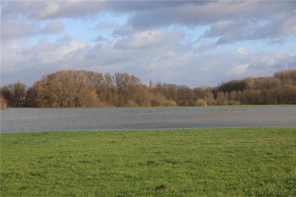 Lippe-Hochwasser in Lünen am Segelflugplatz