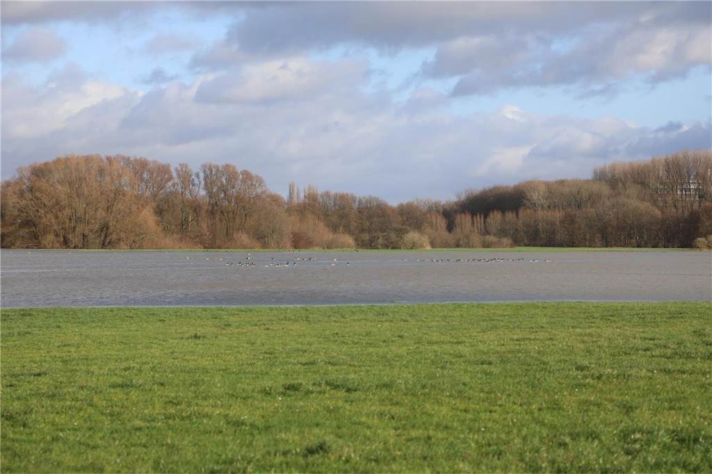 Lippe-Hochwasser in Lünen am Segelflugplatz