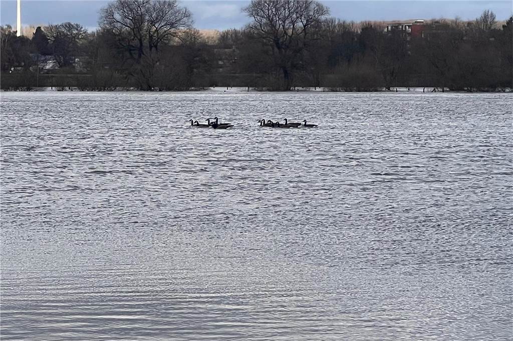 Lippe-Hochwasser in Lünen am Segelflugplatz