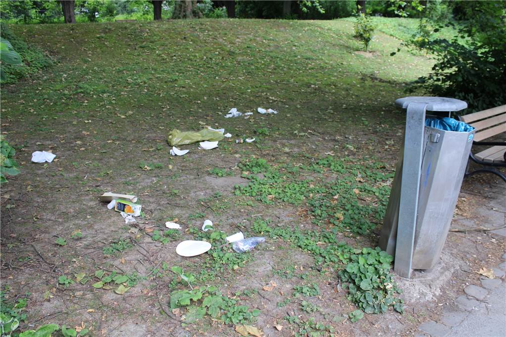Dortmunder: „Es muss uncool sein, Müll wegzuschmeißen und cool, ihn aufzuheben“ Lose Mülleimer und Müll auf der Wiese: Das Foto entstand 2020 auf dem Weg rund um den Teich.