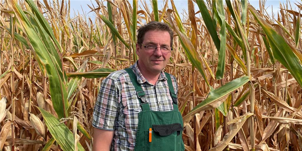 Trockenheit und Mais in Haltern: „Die Ernte wird nicht besonders gut werden.“ Ludger Winkelkotte, Ortsverbandsvorsitzender des Landwirtschaftsverbands, erwartet keine besonders gute Bilanz für die Maisernte im Jahr 2022.