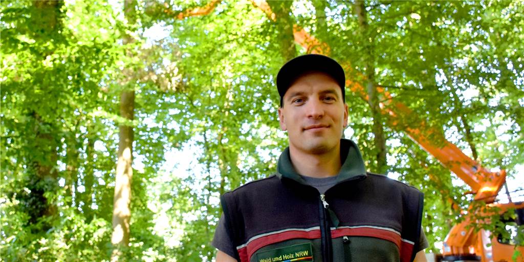 Trockenheit und Waldbrandgefahr: Förster sieht Wälder unter Stress Lukas Effkemann bewertet den Wald in Ahaus und Umgebung insgesamt noch gut. Die Trockenheit setze ihn zwar unter Stress, doch sei die Lage beispielsweise im Sauerland viel schlimmer. Allerdings warnt auch er vor den Gefahren, beispielsweise durch einen Waldbrand.