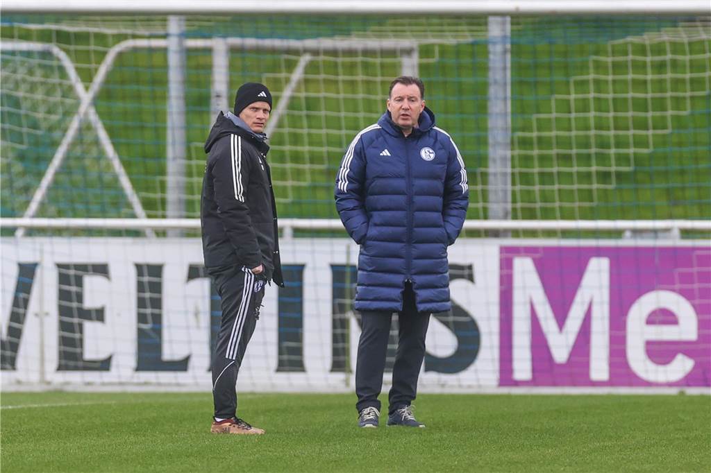 Schalke 04 rätselt über seine Auswärtsschwäche: Machen sich viele Gedanken: Trainer Karel Geraerts und Sportdirektor Marc Wilmots.
