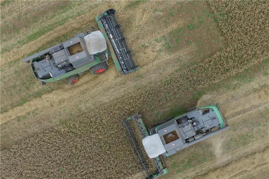 Landwirtschaftsverkehr kann Motorradfahrer gefährden Mähdrescher sind dieses Jahr früher als sonst im Einsatz. Es gilt deshalb besondere Vorsicht im Straßenverkehr. Foto: Patrick Pleul