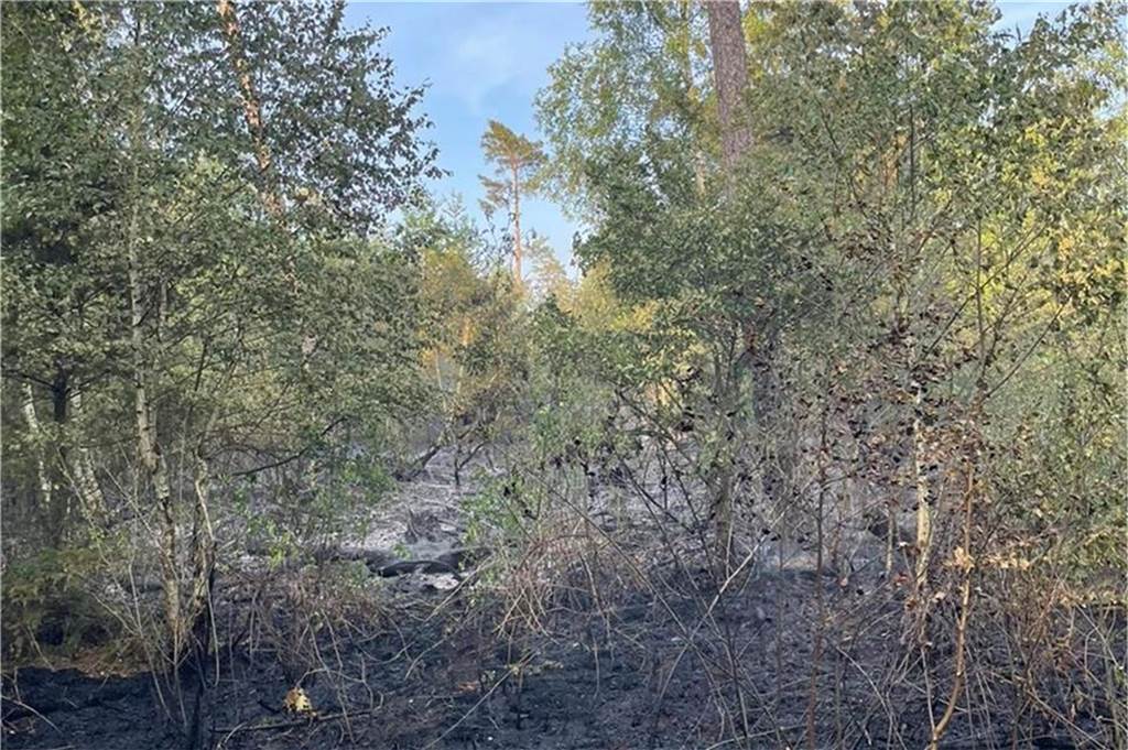 Familienverhältnisse erschüttern: 23-Jähriger legte aus Stress achtmal Feuer Mal brannten 4000 Quadratmeter Wald, mal ging das Feuer schon nach wenigen Augenblicken aus, weil der heute 23-Jährige binnen weniger Tage zweimal an der gleichen Stelle Feuer legte – und der Waldboden vom Löschwasser noch klatschnass war.