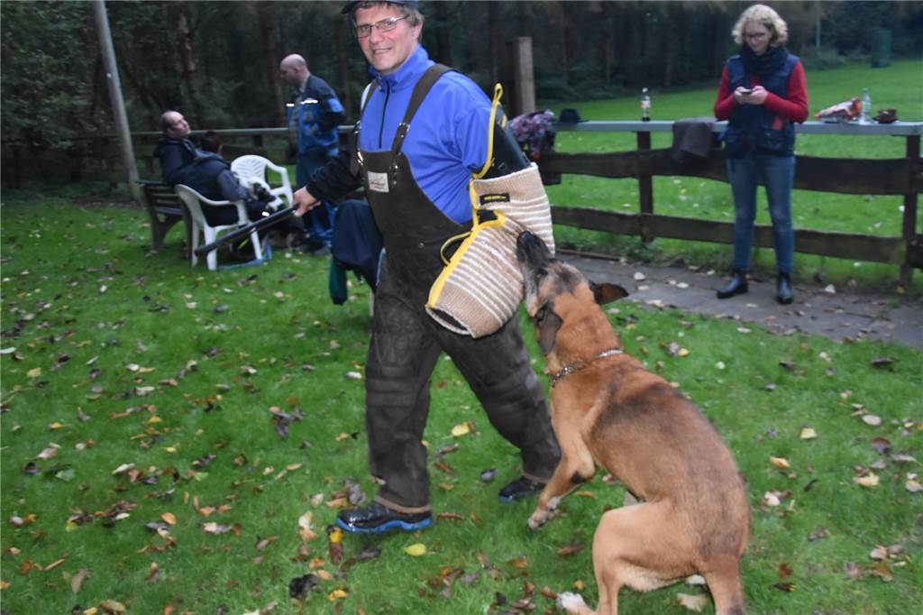 Im Gebrauchshundesportverein lernt Bello fürs Leben - doch der Weg zum Erfolg ist lang Malinois Drago liebt den Beißärmel