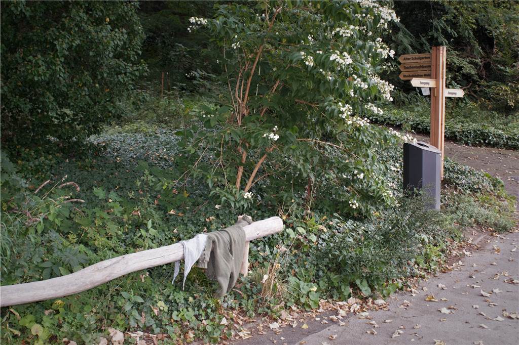 Vermüllt der Rombergpark? „Man muss nur etwas dagegen unternehmen“ Manche Dinge fallen wohl nicht unter dem Begriff „Littering", sondern wurden offensichtlich einfach vergessen.