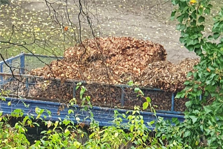 Guten Morgen: Das drückende Gewicht des Fleißes Manchmal ist guter Rat teuer...