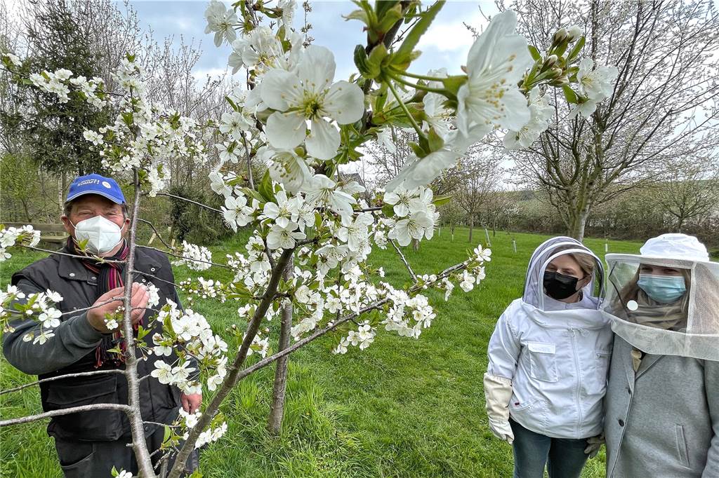„Haustier“ Bienenkönigin: Junge Frauen sorgen für Leben auf Bolles Wiese Manfred Bolles Apfelbäume blühen jetzt. Anke und Elena Schickentanz-Dey haben ihre Honigbienen auf seiner Wiese postiert.